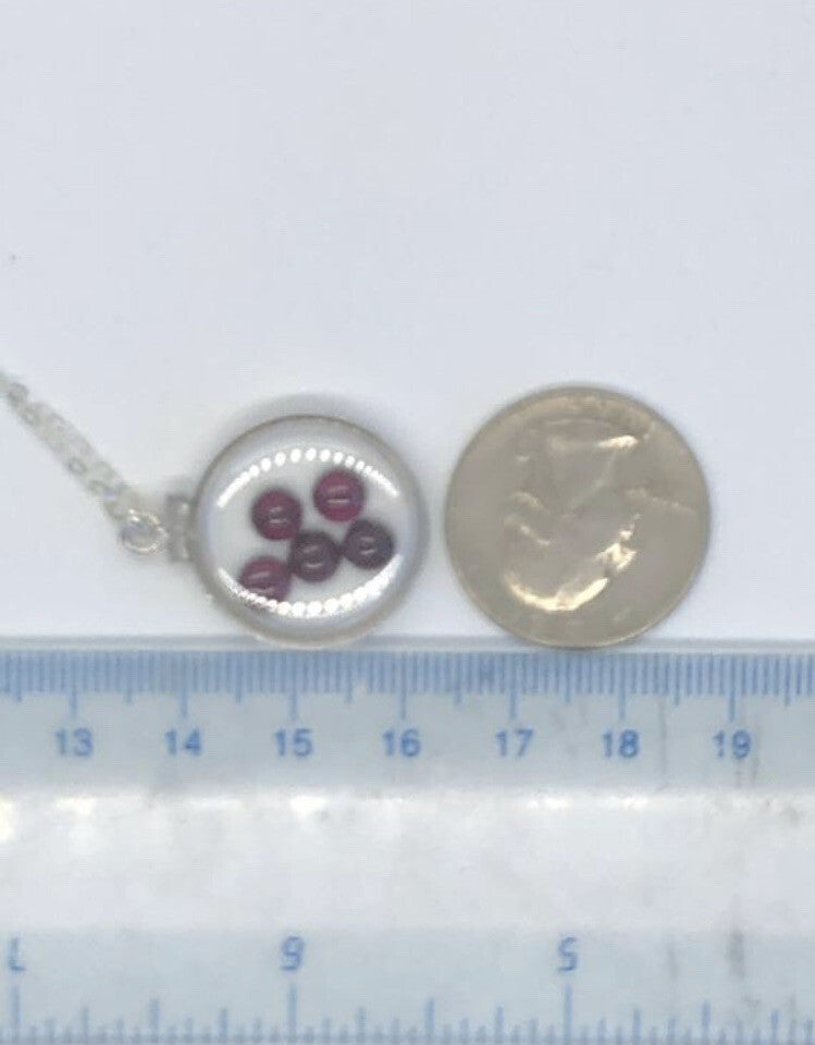 20mm Sterling Silver Shaker locket with 3.98 TCW genuine Garnets, January Birth